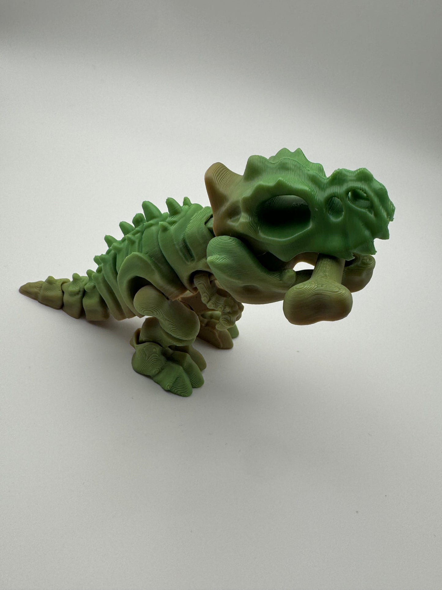 3D Skelly Bone Dino
