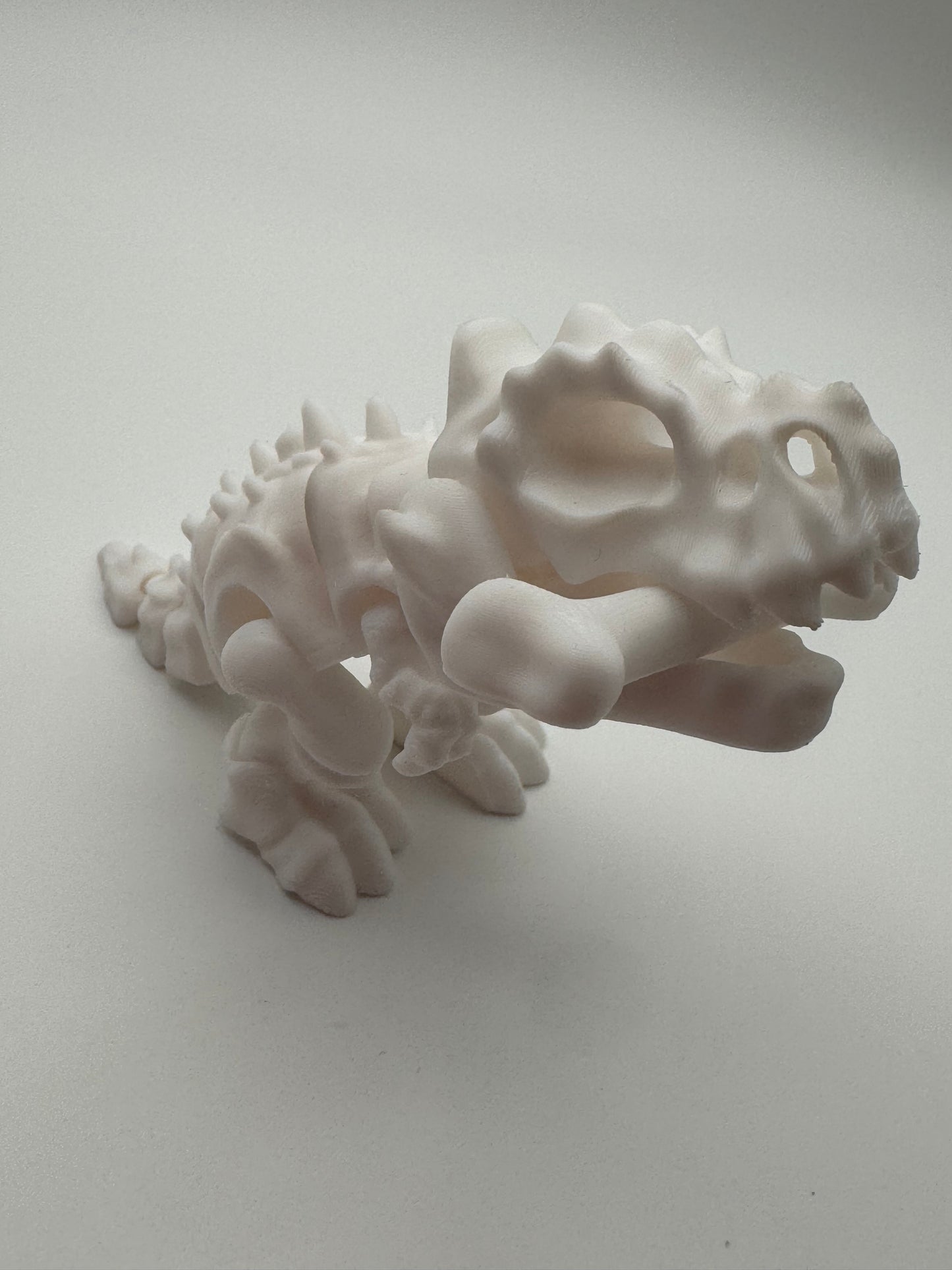 3D Skelly Bone Dino
